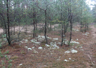 Klaus Brünner Geprüfter Natur- und Landschaftspfleger Roth