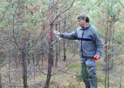 Klaus Brünner Geprüfter Natur- und Landschaftspfleger Roth